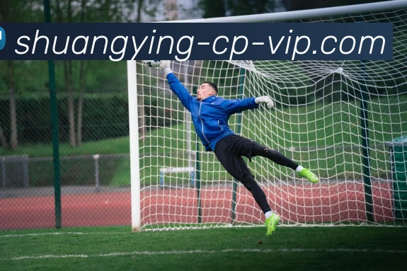 双赢彩票品牌故事