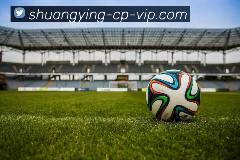 双赢彩票服务体系